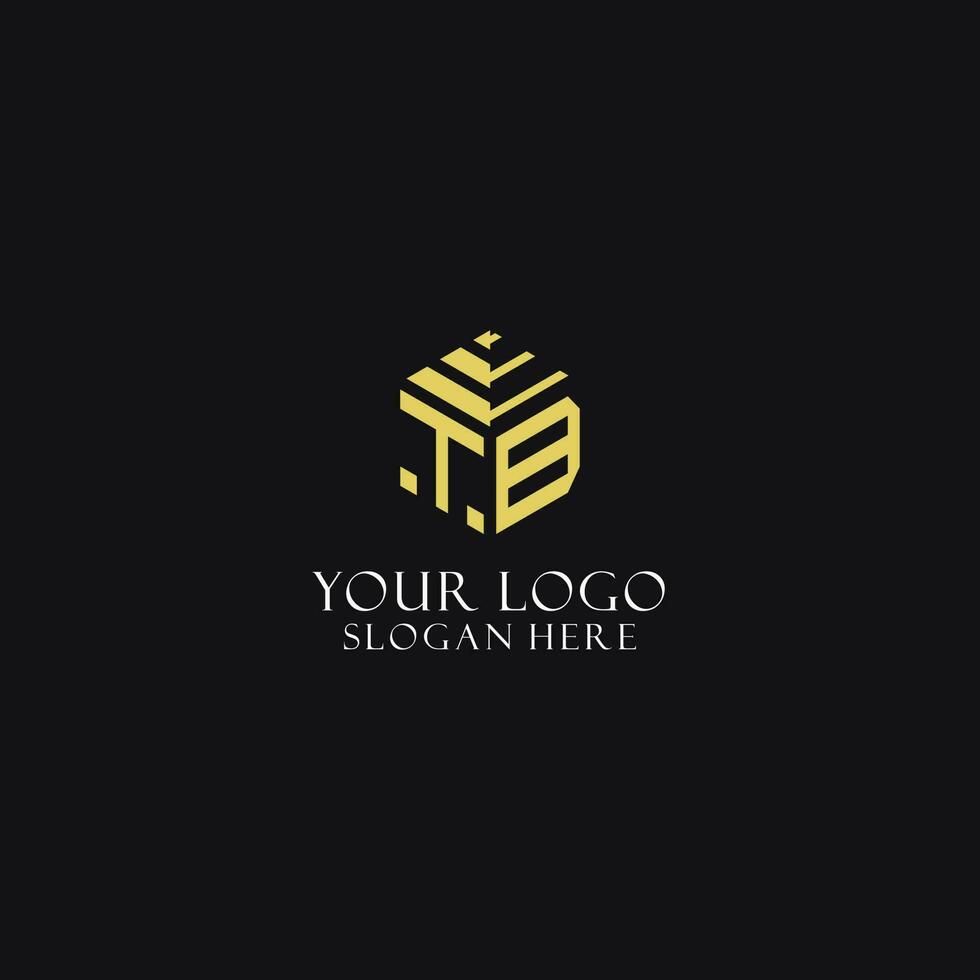 TB initial monogram with hexagon shape logo, creative geometric logo design concept vector