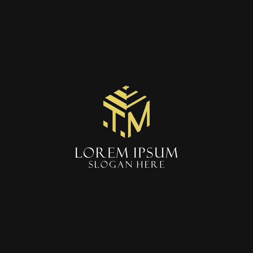 TM initial monogram with hexagon shape logo, creative geometric logo design concept vector