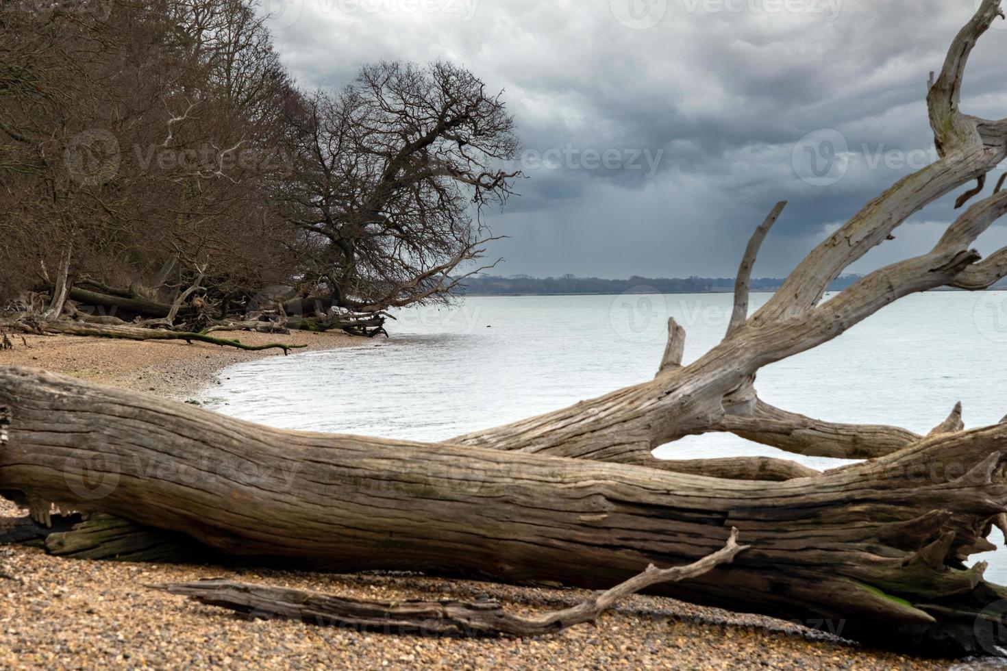 River Orwell riverbank near Levington photo