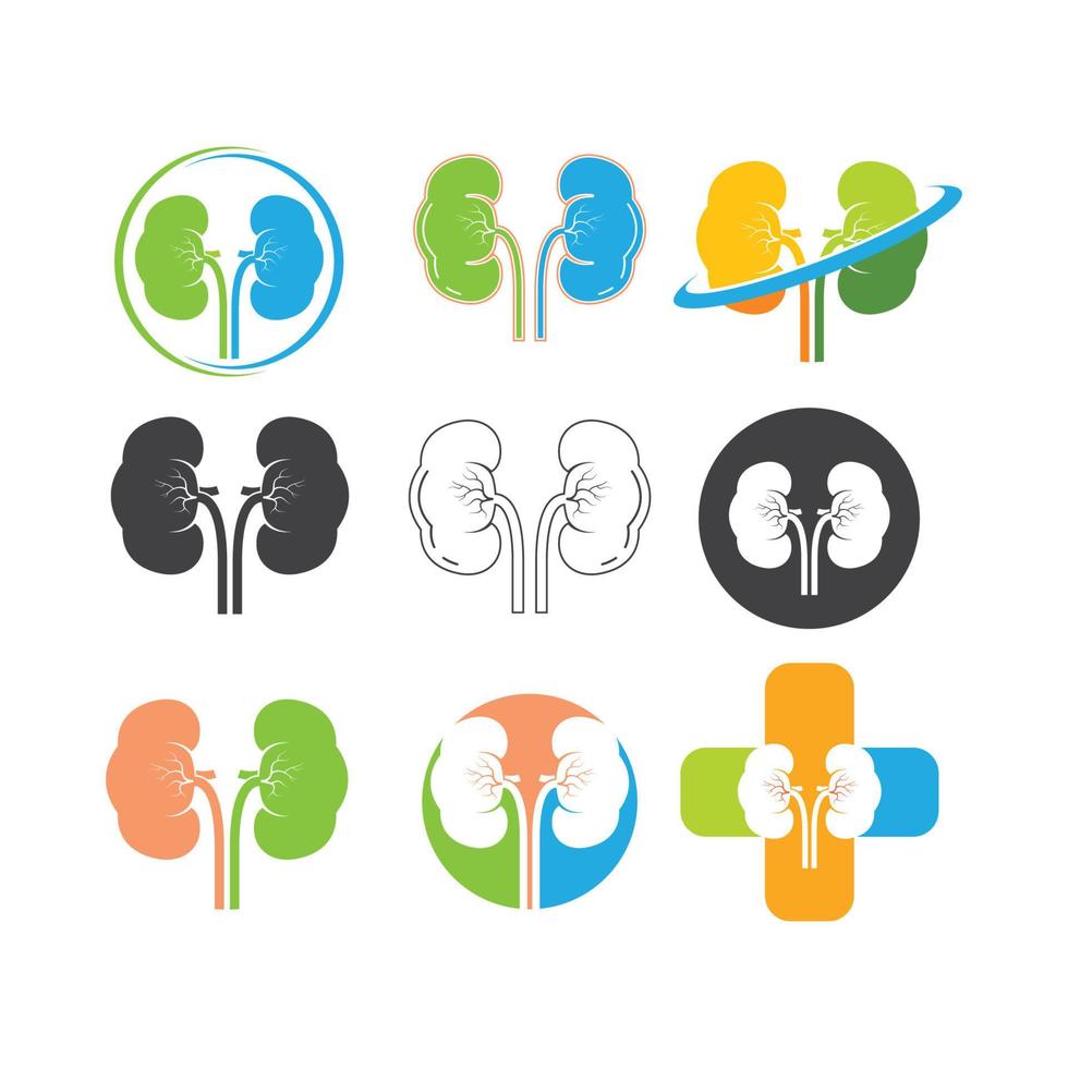 kidney icon vector illustration design