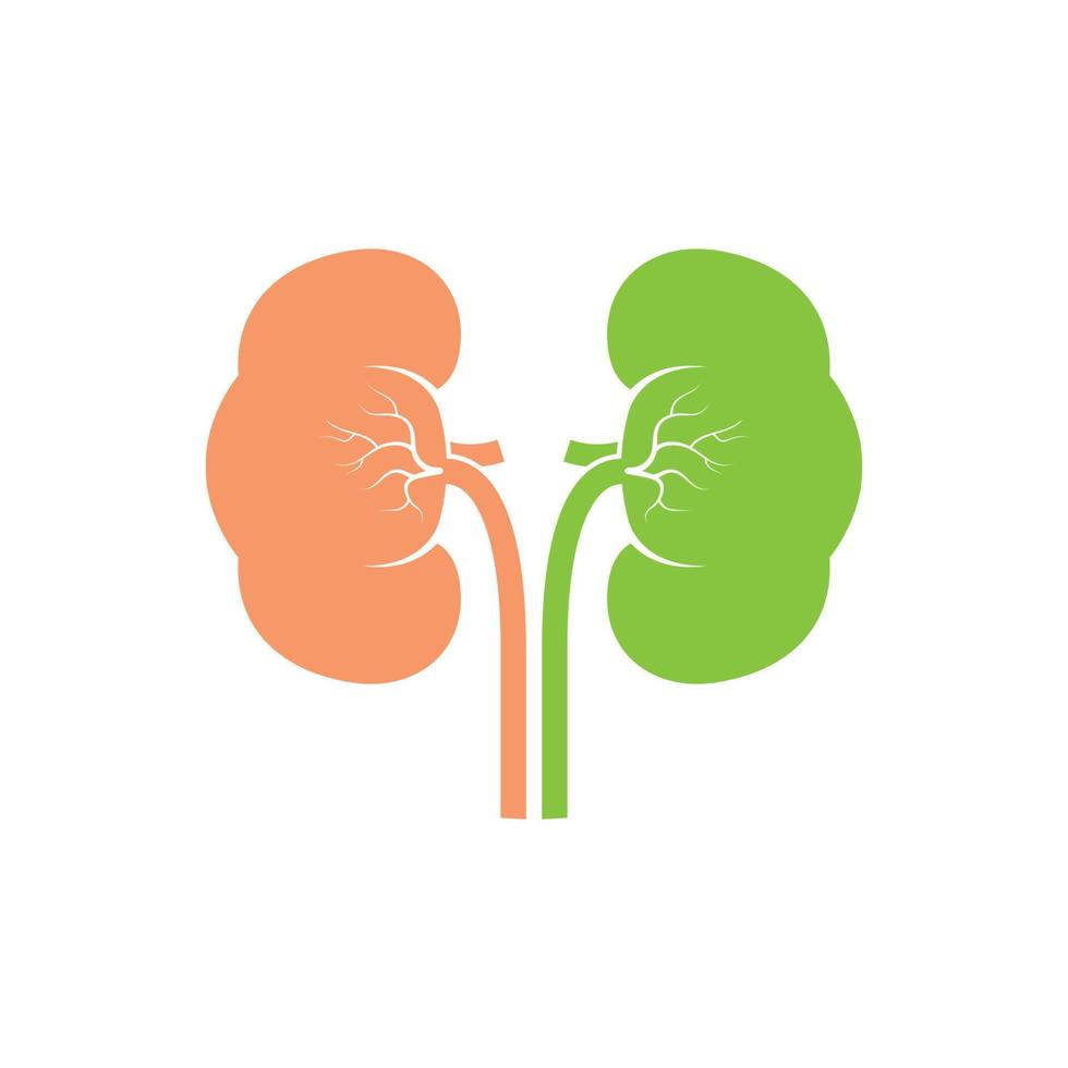 kidney icon vector illustration design