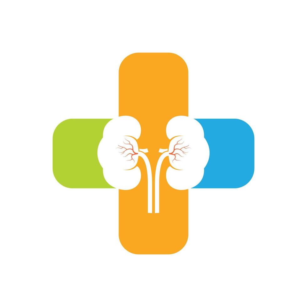 kidney icon vector illustration design