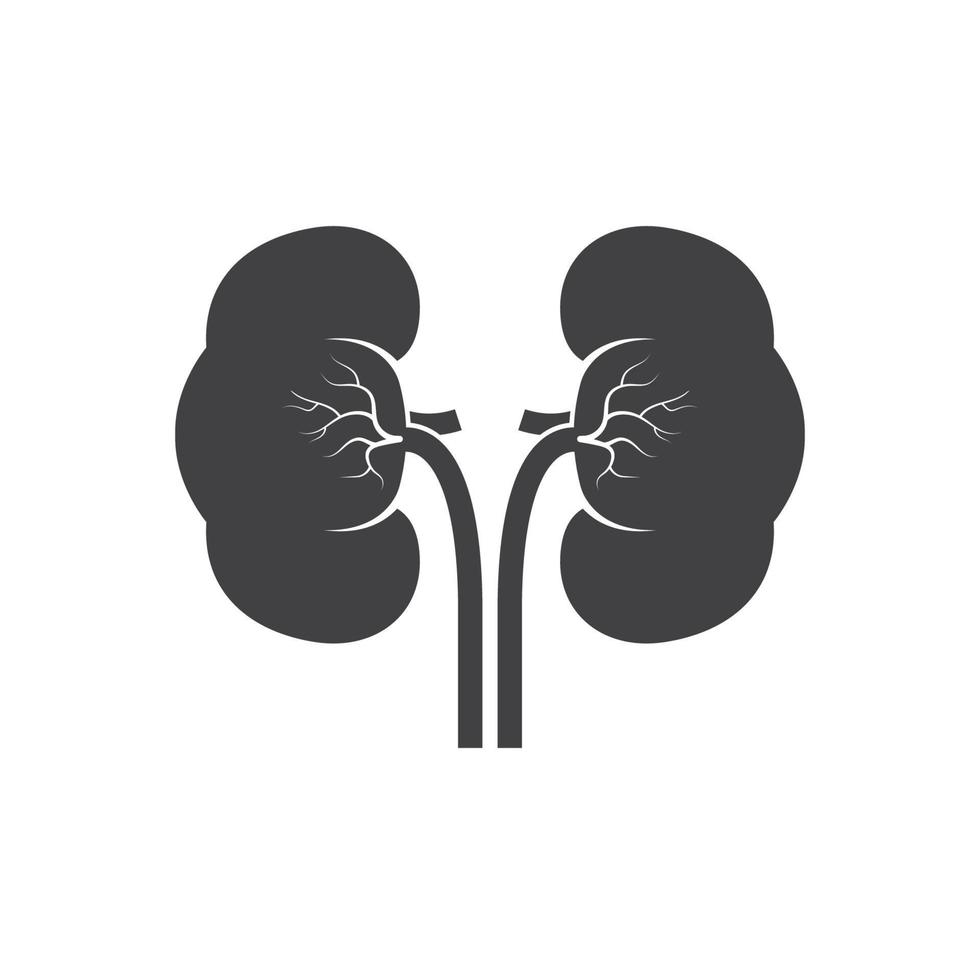 kidney icon vector illustration design