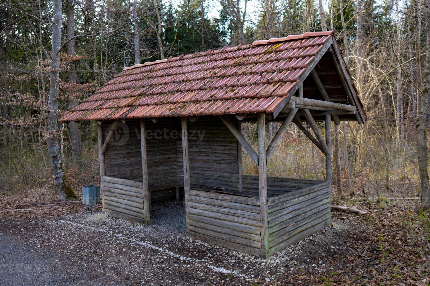 Wooden house in the forest autumn architecture cabin photo