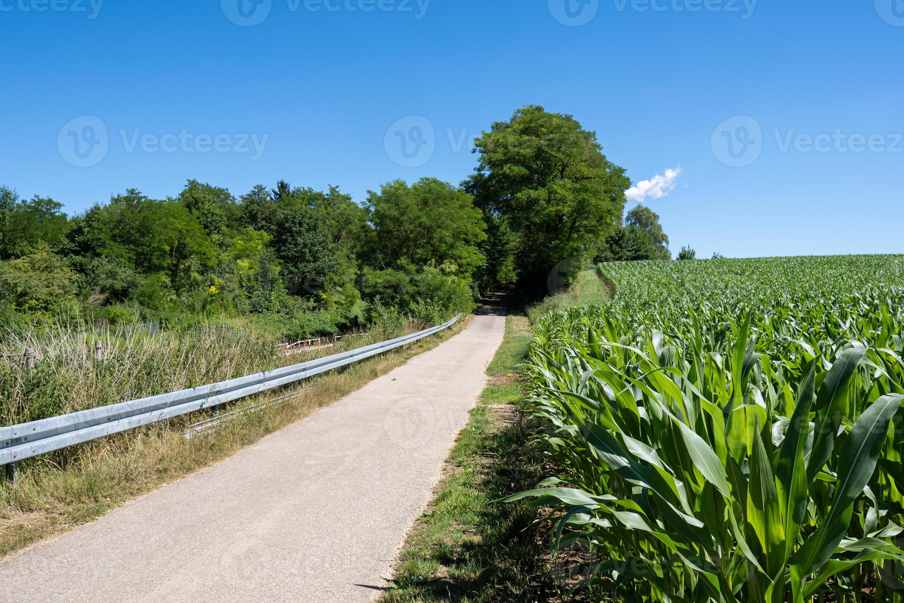 Fabulous Way In The Nature Tourism Adventure Landscape Way 21955881 fabulous-way-in-the-nature-tourism-adventure-landscape-way-21955881