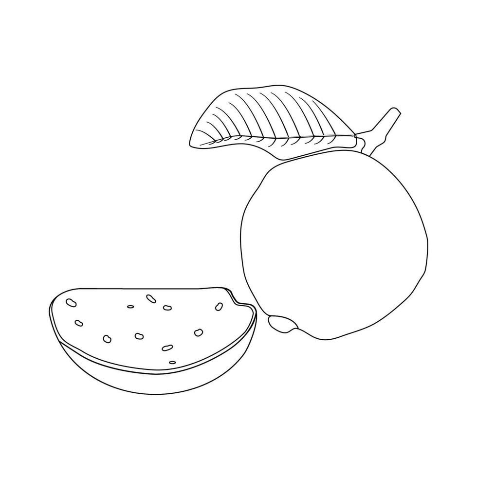 guava icon vektor vector