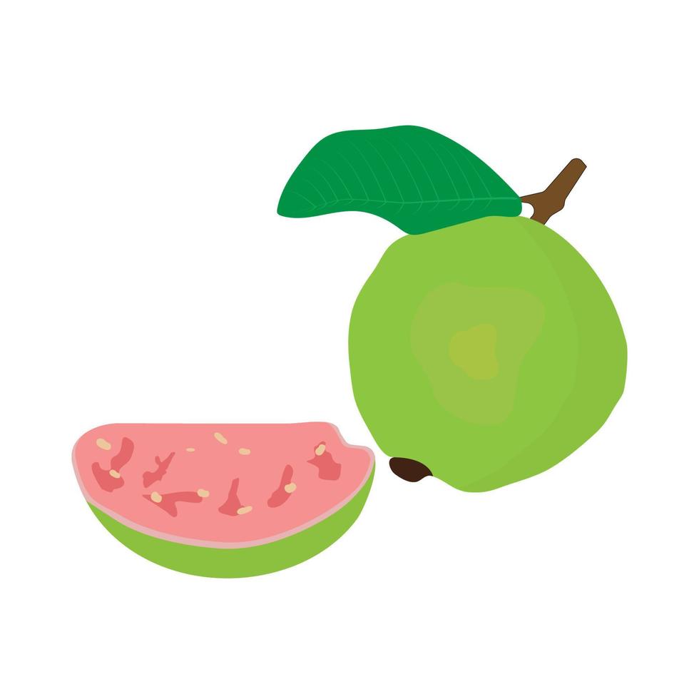 guayaba icono vektor vector