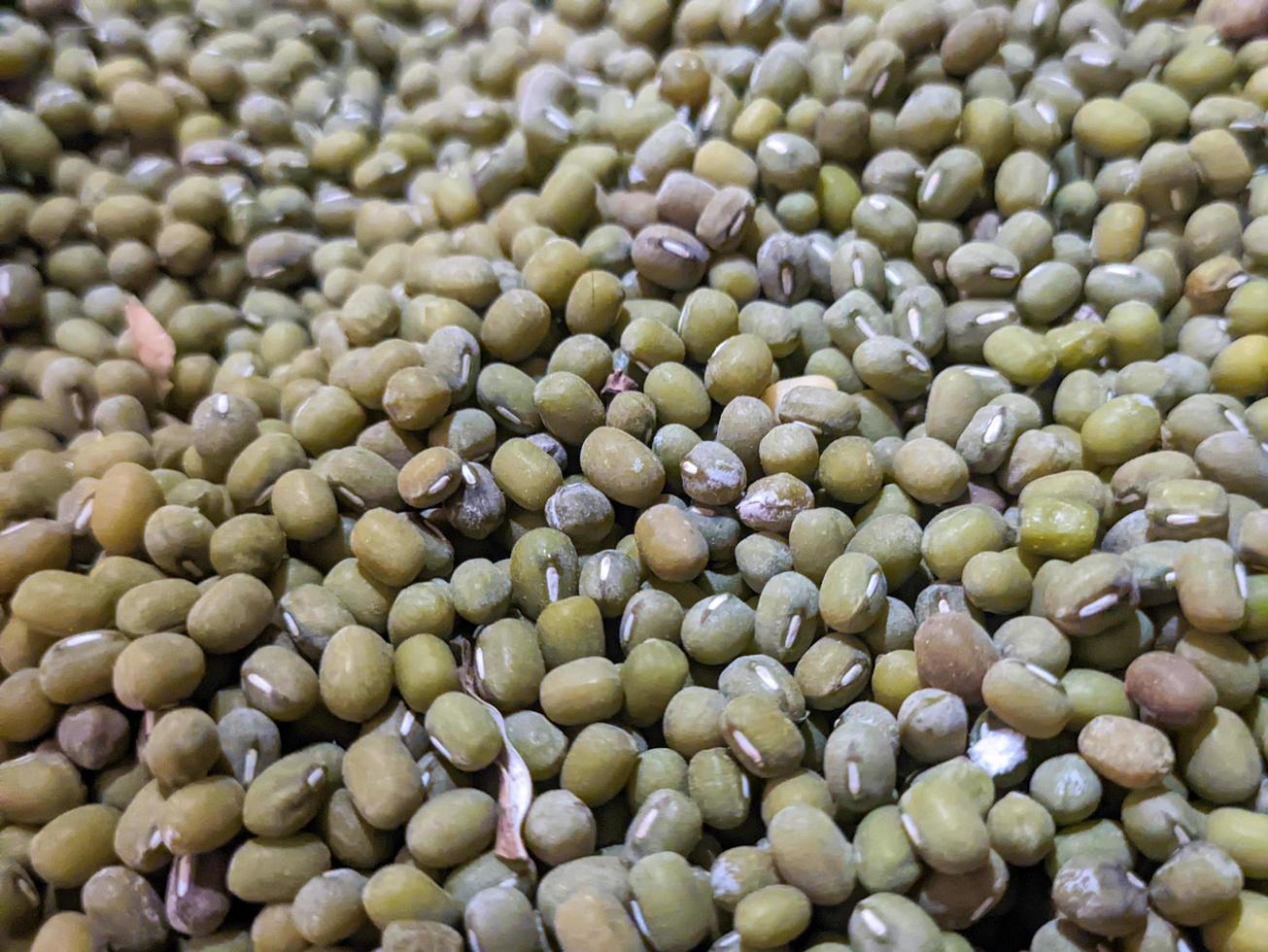 A close up of green beans photo