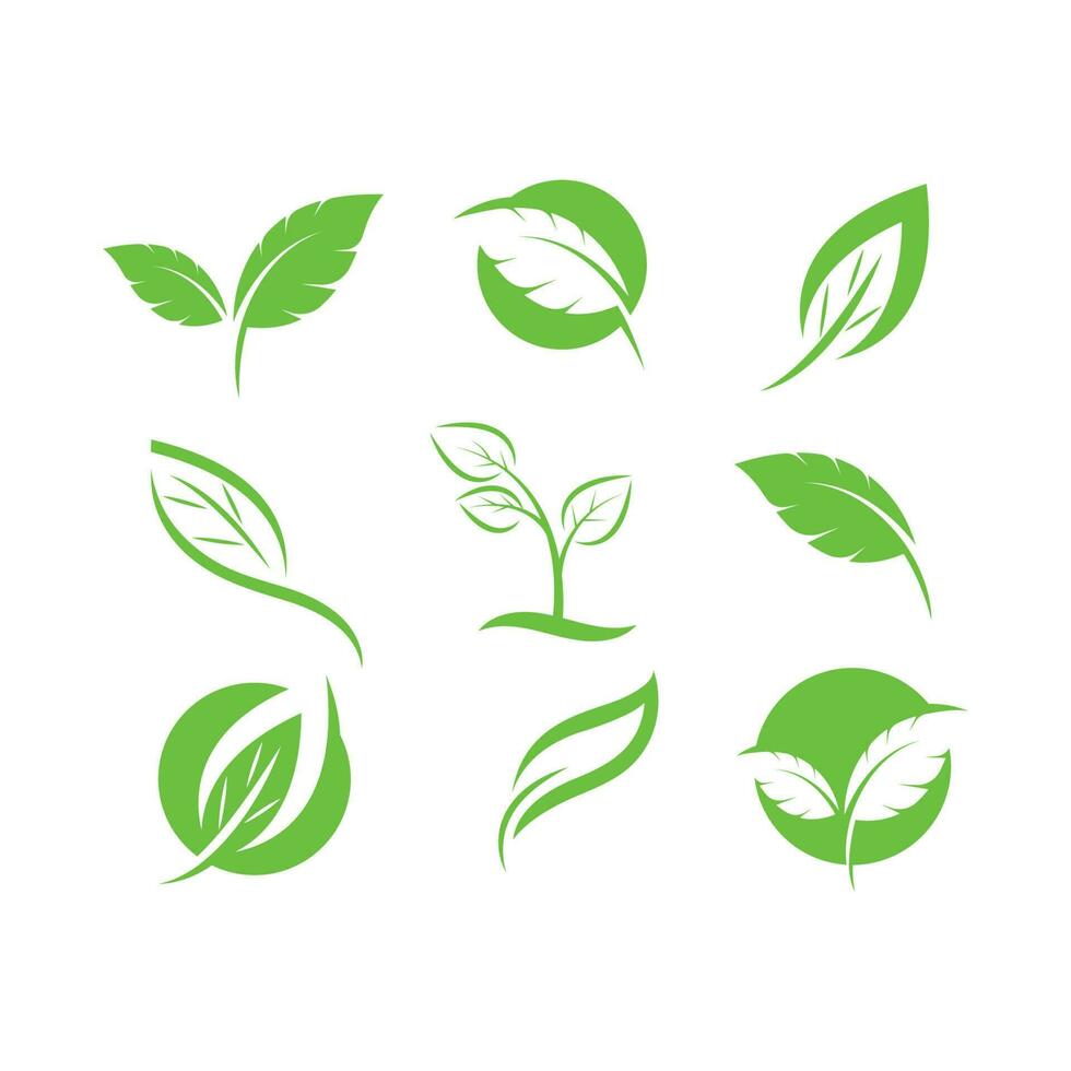Logos of green leaf ecology nature element vecto vector