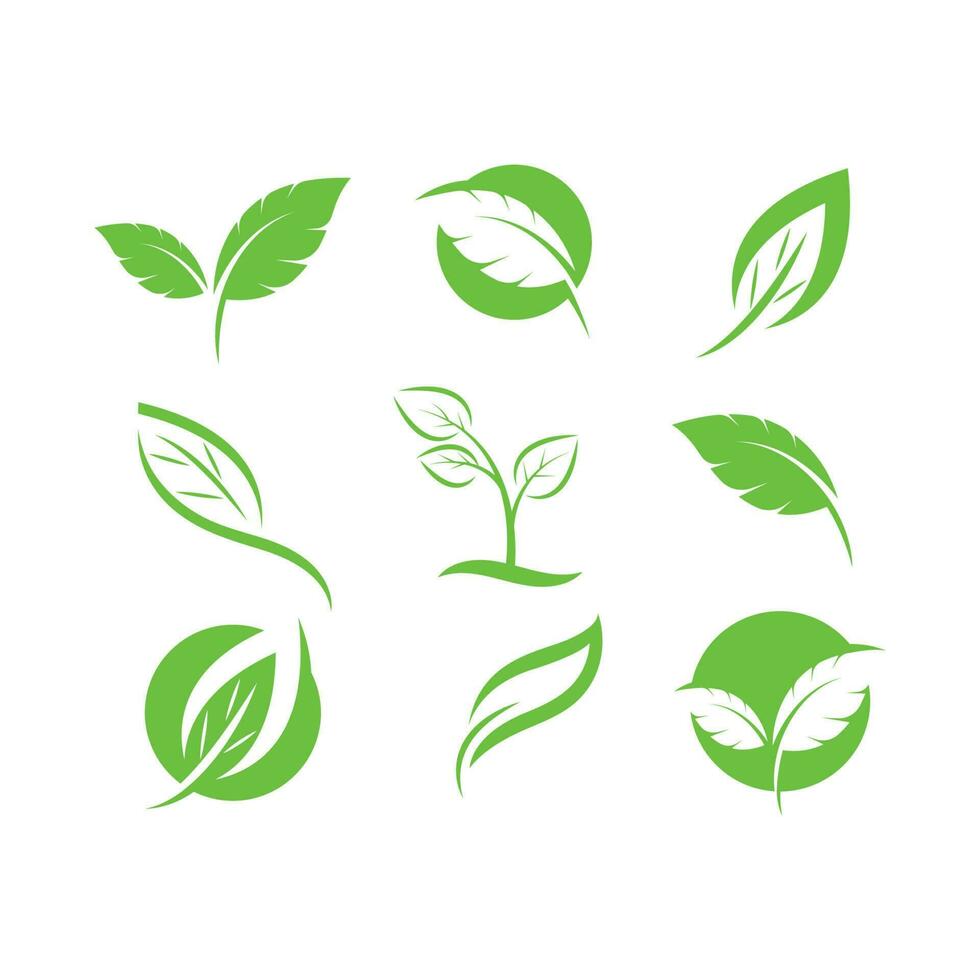 logos de verde hoja ecología naturaleza elemento vecto vector