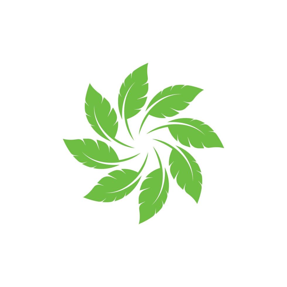 logotipos de vector de elemento de naturaleza ecología de hoja verde