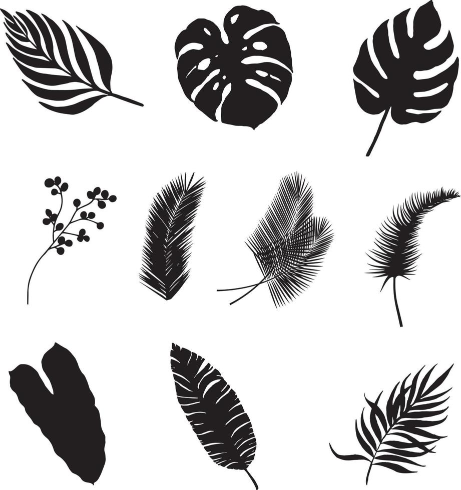 Set of leaves silhouettes isolated on white background vector