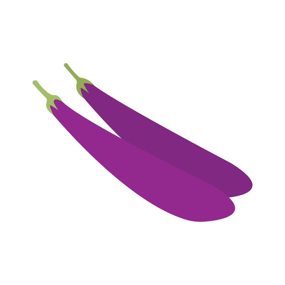 eggplant icon vector