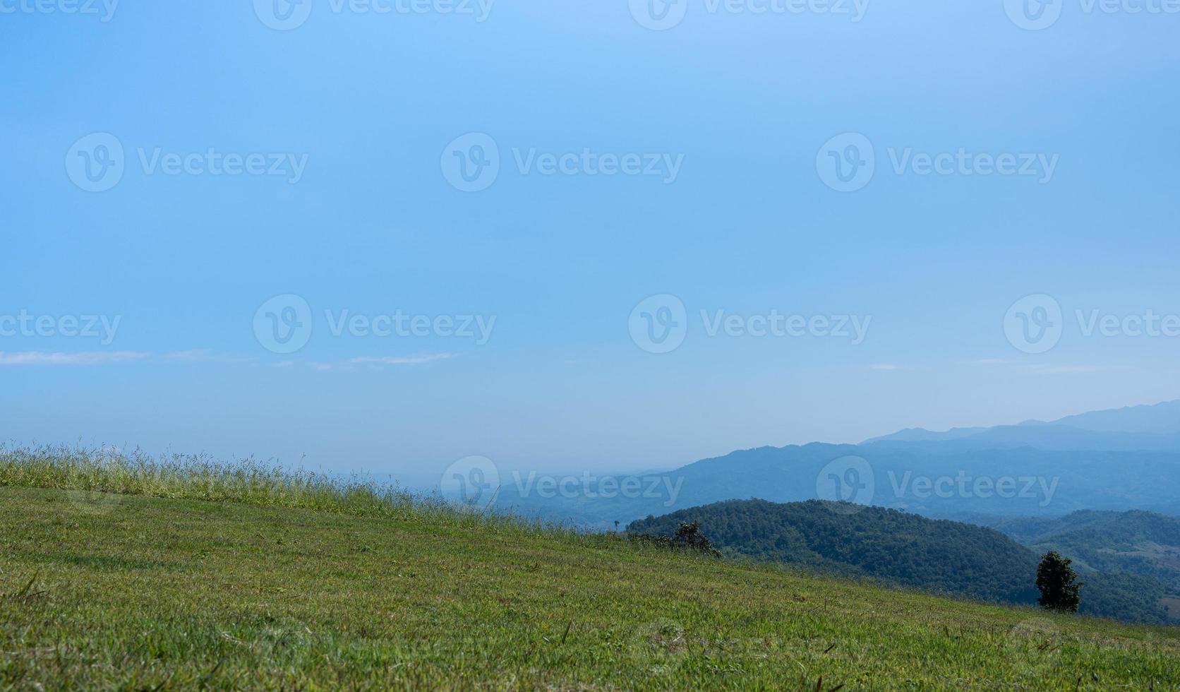 beautiful grass field with blue sky. Countryside landscape view background. photo