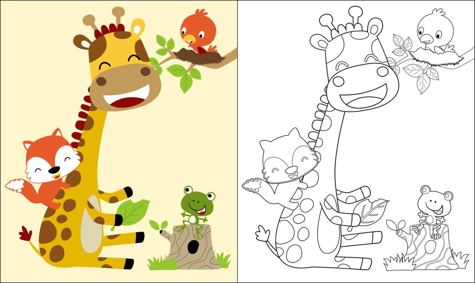 Vector illustration of funny animals cartoon, coloring book or page