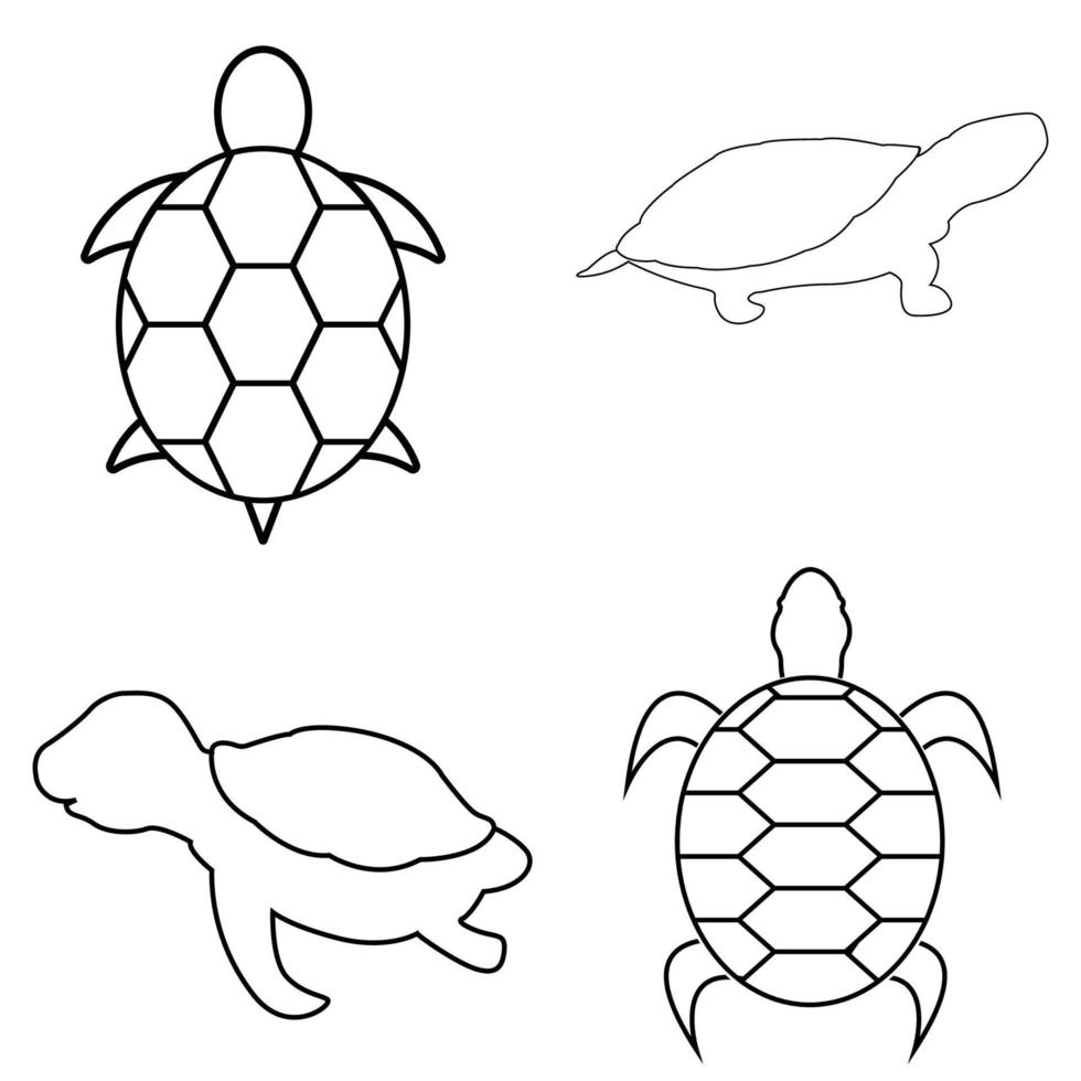 turtle icon vector