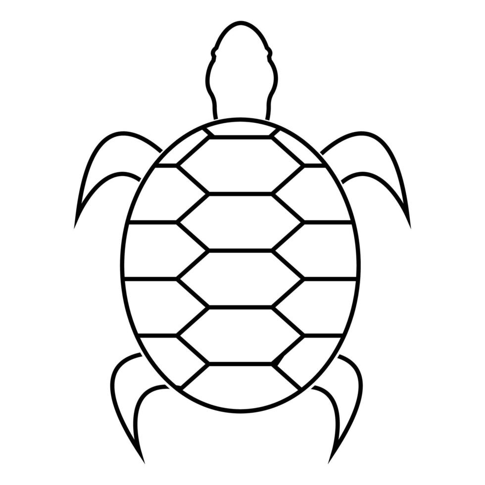 turtle icon vector