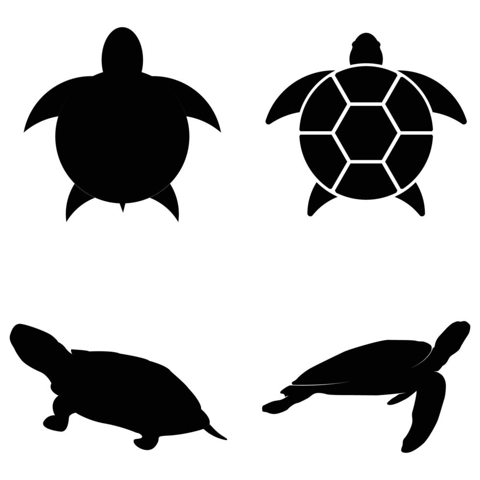 vector de icono de tortuga