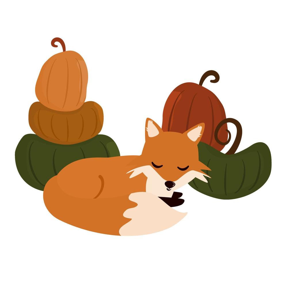 cute cartoon character fox resting in a pumpkin patch vector illustration for holiday greeting card like halloween or thanksgiving