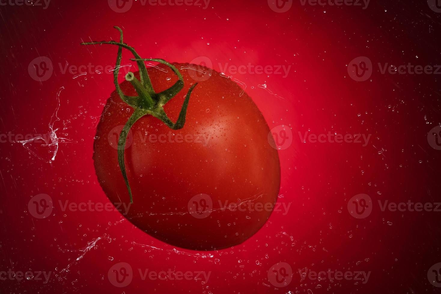 Red tomato with water drops on a red background. Tomato isolated on red background photo