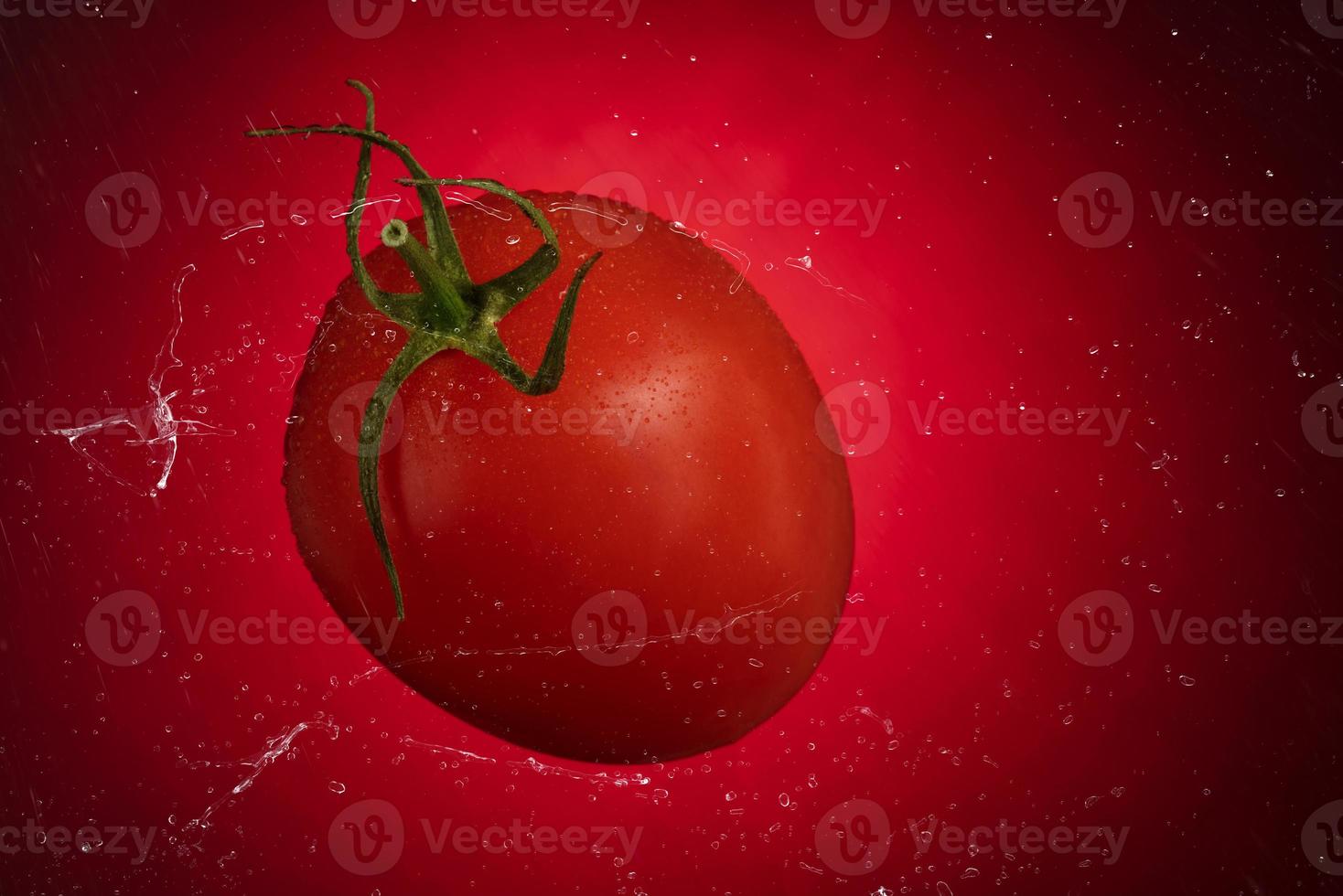 Red tomato with water drops on a red background. Tomato isolated on red background photo