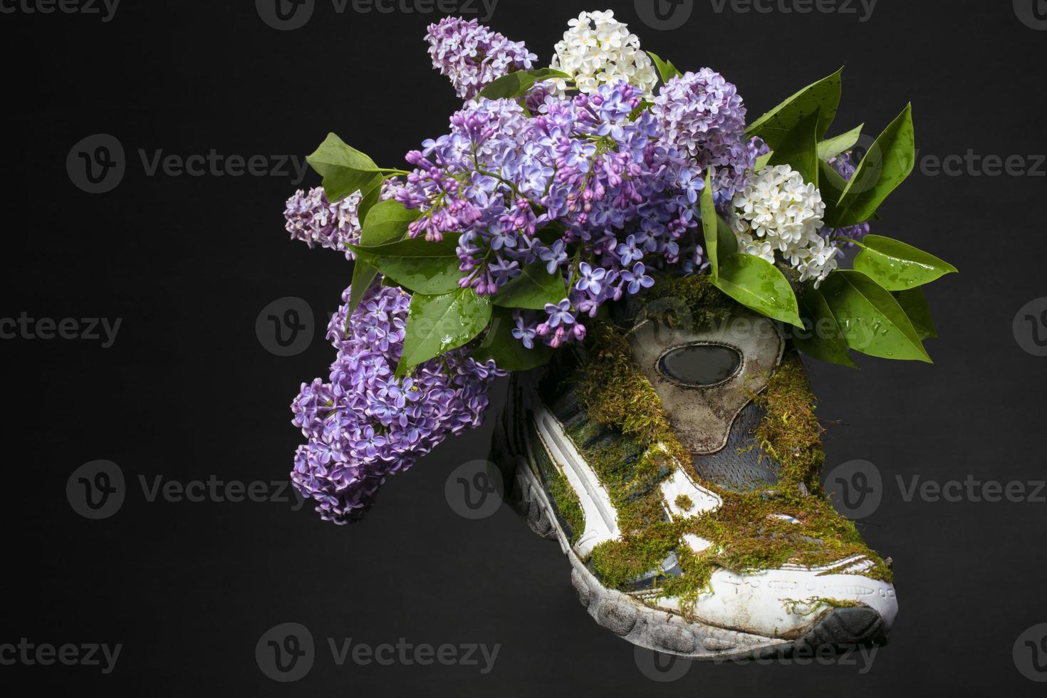 A sneaker covered with moss and blooming lavender. Shoes made from natural materials. photo