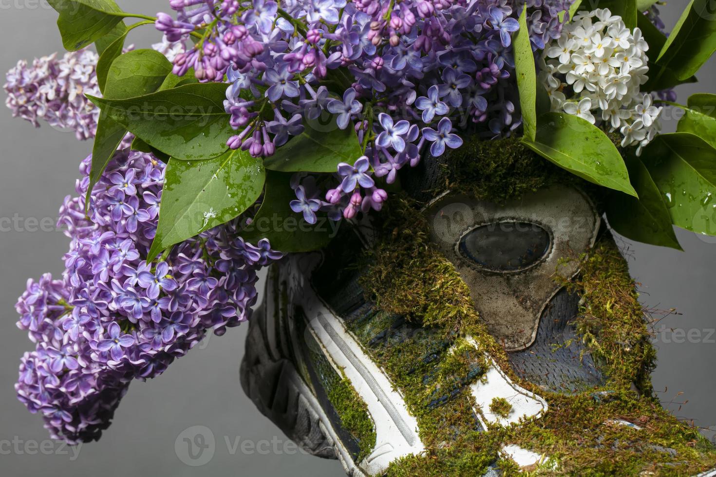 Part of an old sneaker covered with moss and blooming sauerkraut. Shoes made from natural materials. photo