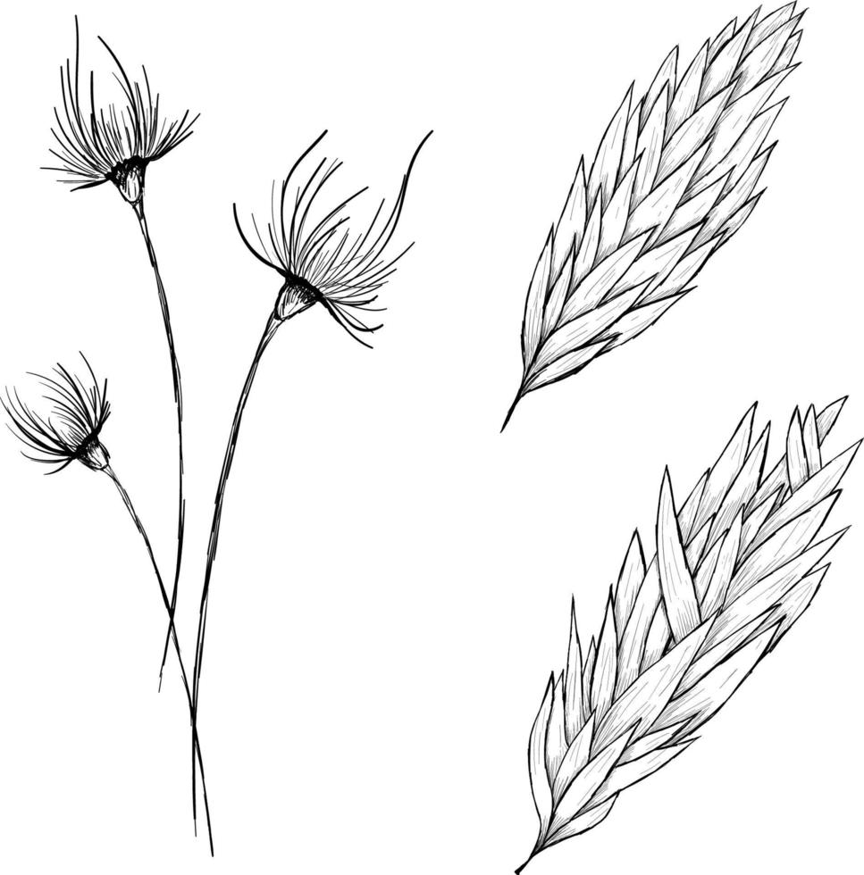 Herbs and Wild Flowers vector