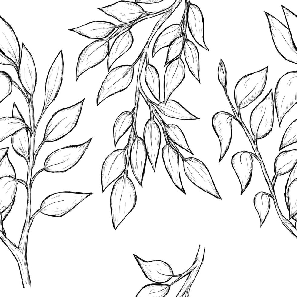 Sketch branch leaf 3 vector