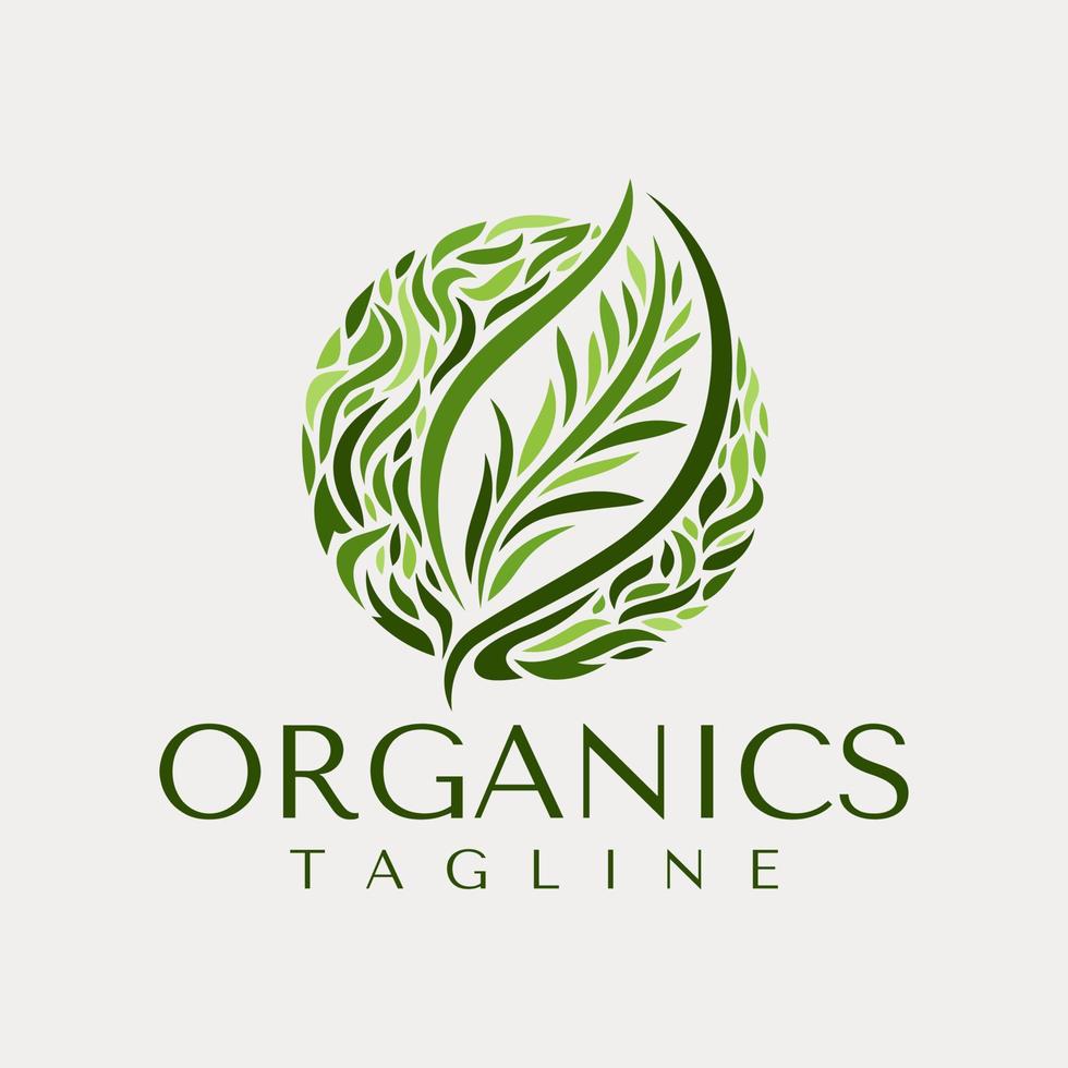 Decorative organic leaf circle logo design vector. Vintage green tea leaf logo. vector