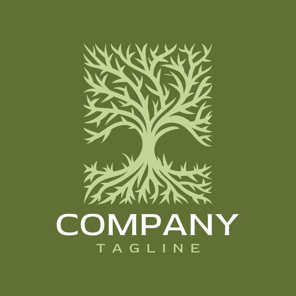 Decorative tree root square logo design template. Luxury natural plant logo. vector