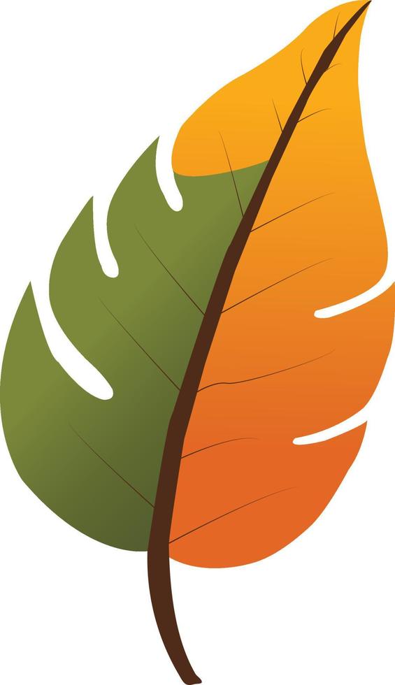 free vector  autumn leaf