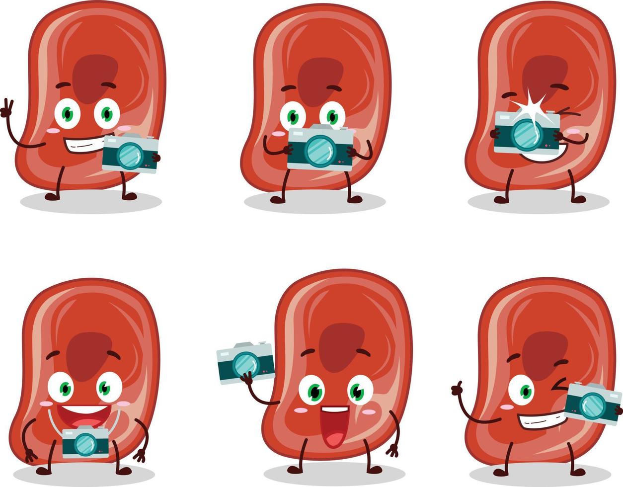 fotógrafo profesión emoticon con jamón dibujos animados personaje vector