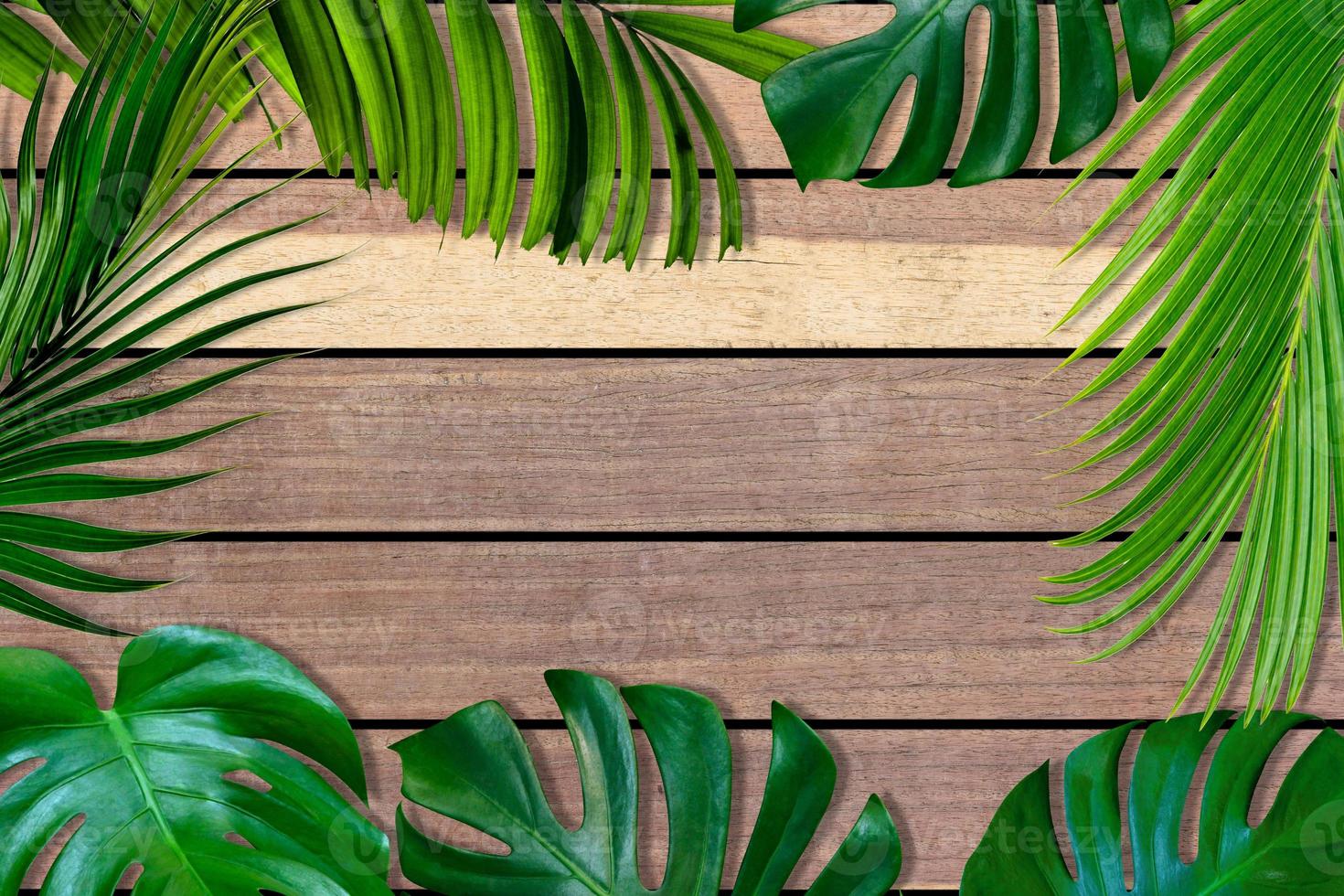 Green leaves pattern for nature concept,tropical leaf on brown wood background photo