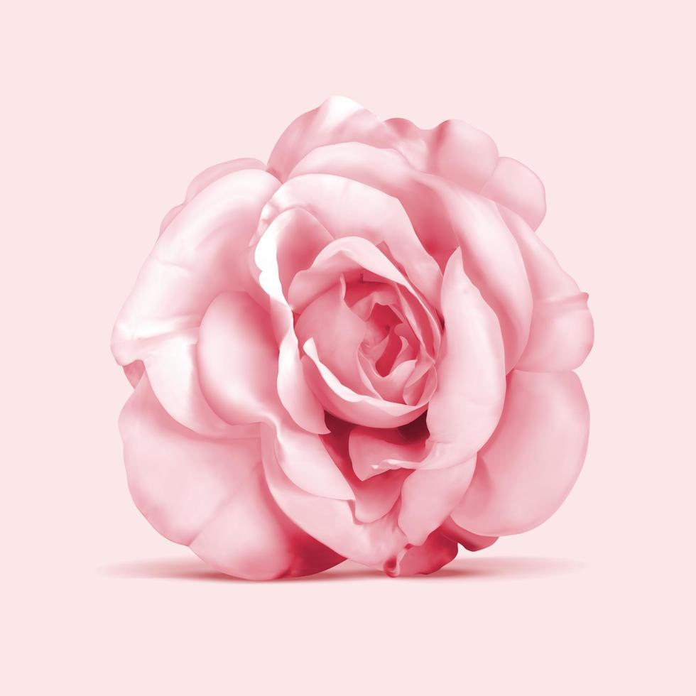 3d ilustración de elegante Rosa flor visto desde el parte superior vector