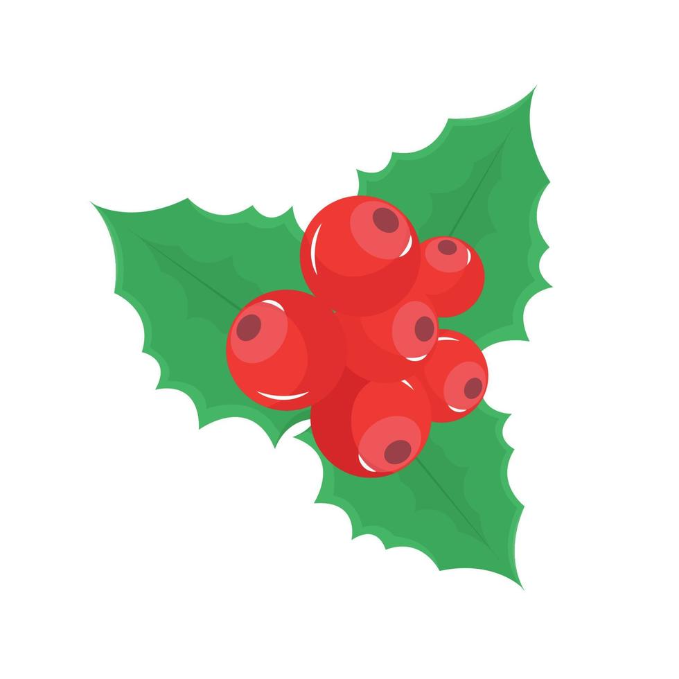 Holly winter plant with berries. Vector illustration