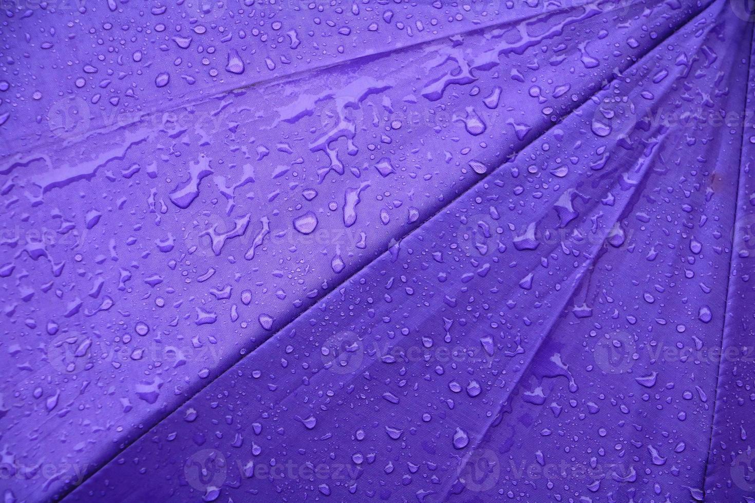 rain water drop on purple umbrella background with copy space for add text photo