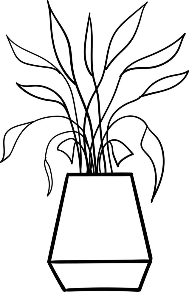 House plant in a pot. Outline illustration. vector