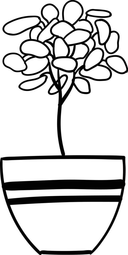 House plant in a pot. Outline illustration. vector