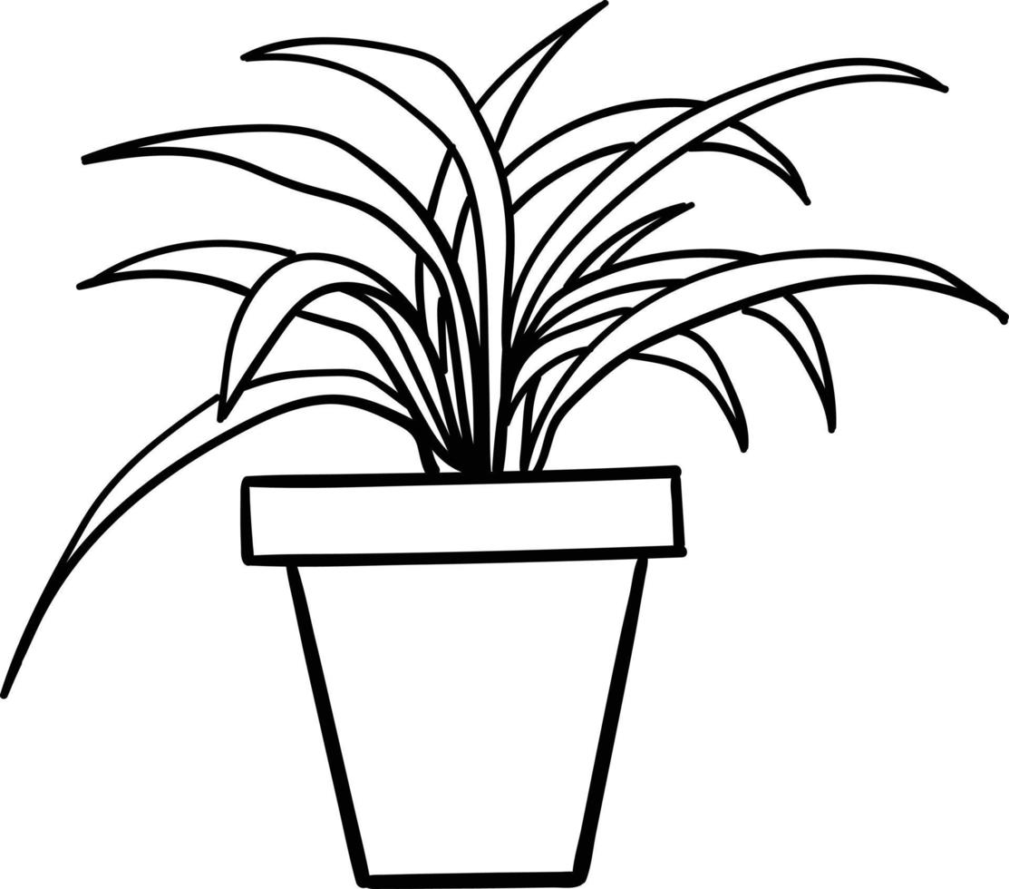 House plant in a pot. Outline illustration. vector