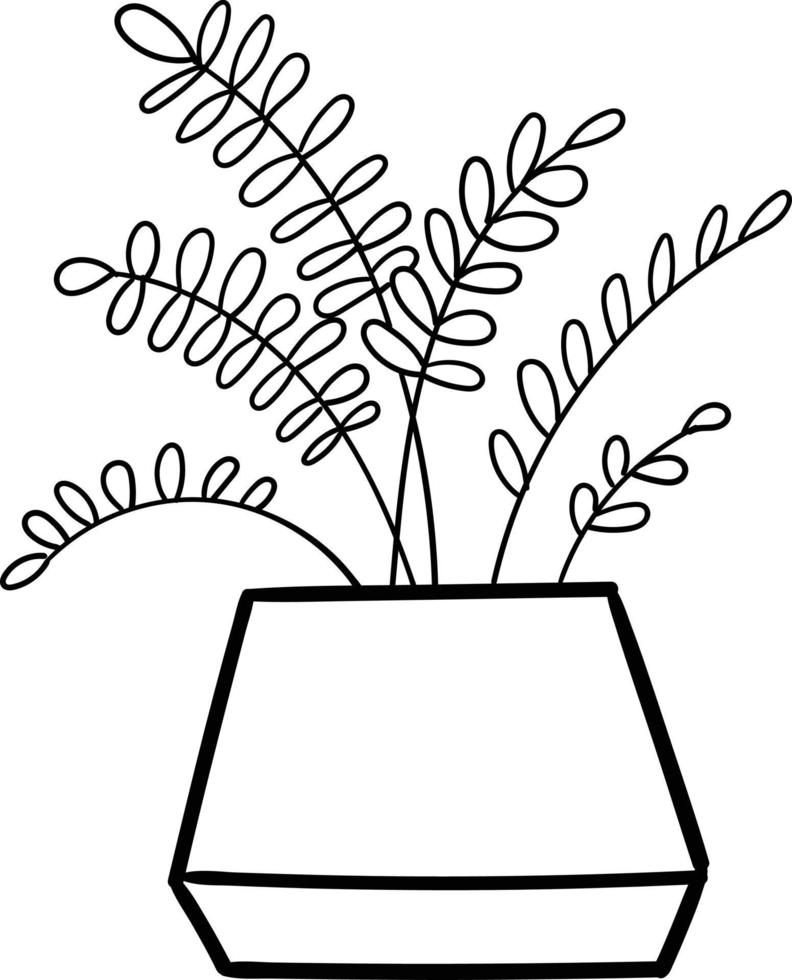 House plant in a pot. Outline illustration. vector