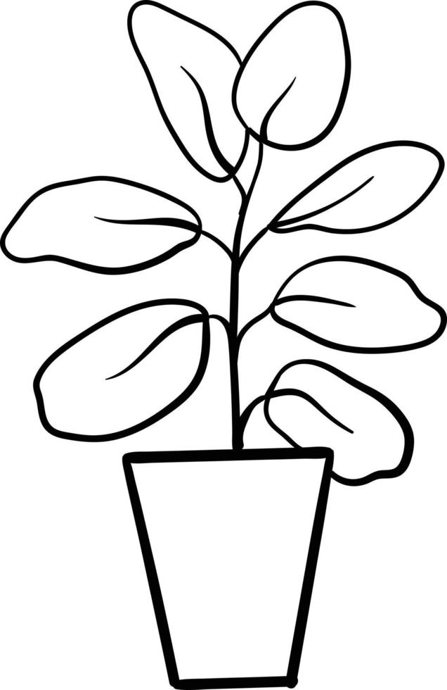 House plant in a pot. Outline illustration. vector