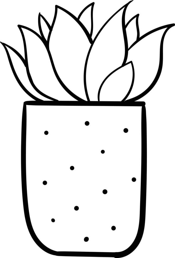 House plant in a pot. Outline illustration. vector