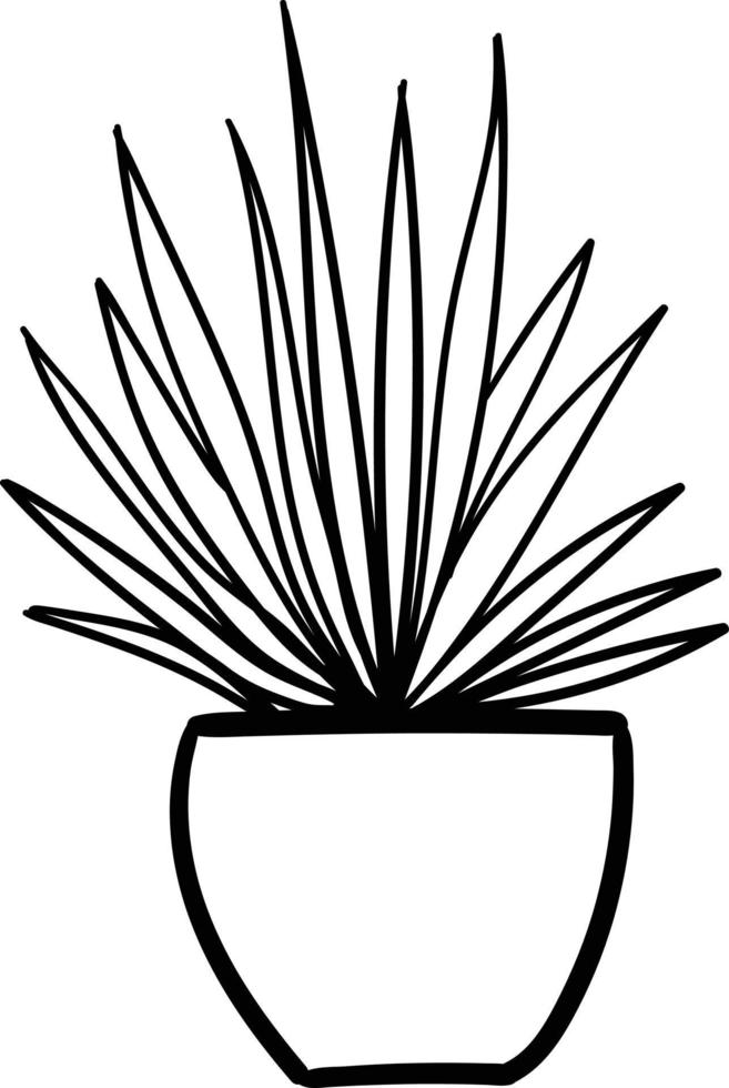 House plant in a pot. Outline illustration. vector