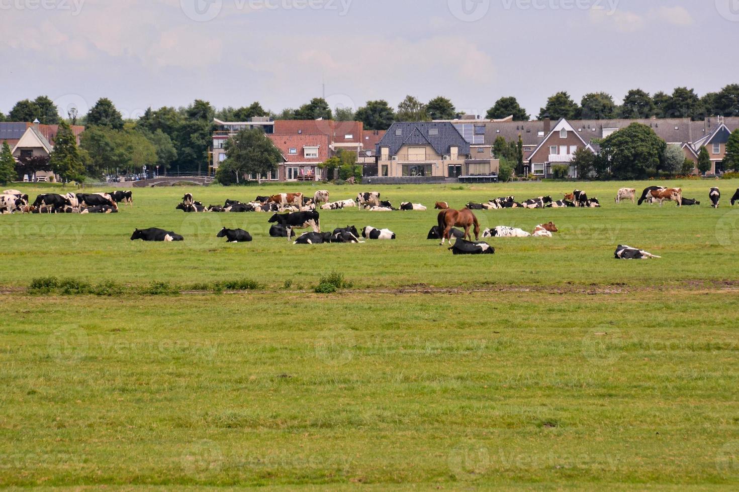 escénico rural paisaje foto