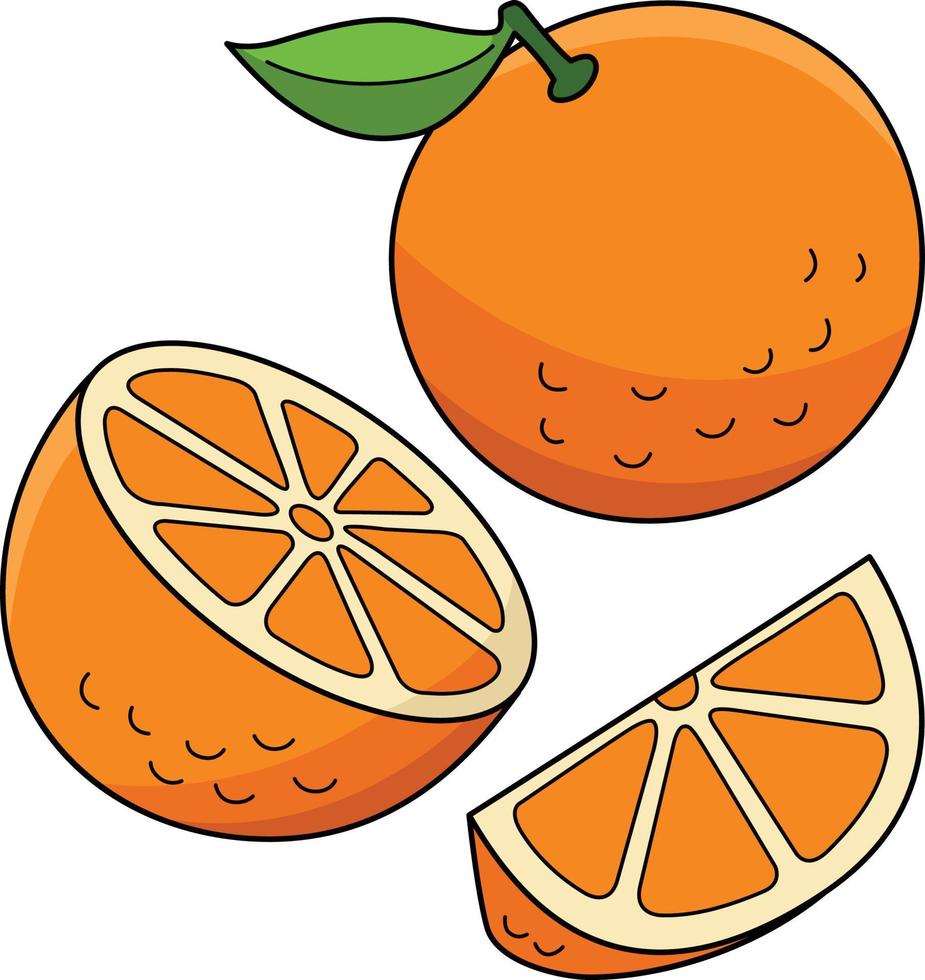 naranja Fruta dibujos animados de colores clipart ilustración vector