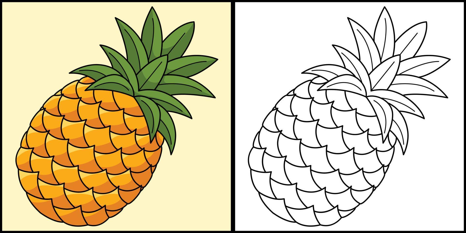 Pineapple Fruit Coloring Page Colored Illustration vector