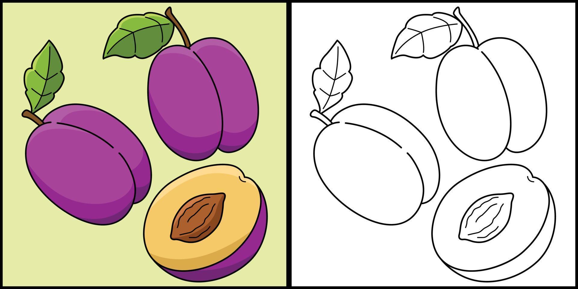 Plum Fruit Vegetable Coloring Page Illustration vector