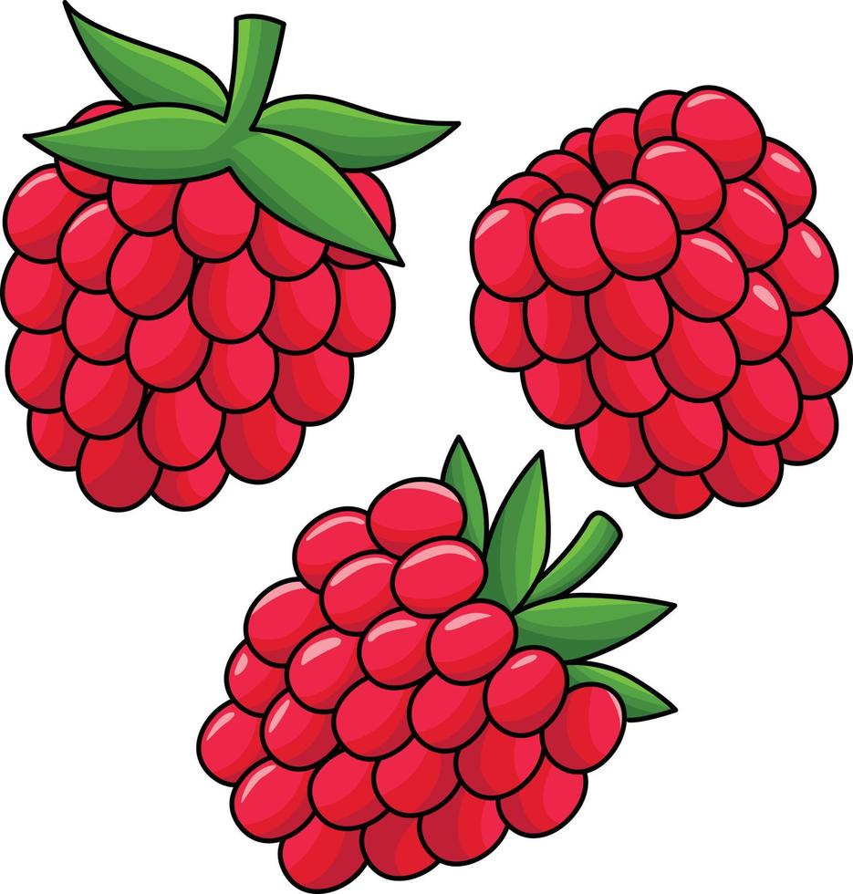 Raspberry Fruit Cartoon Colored Clipart vector