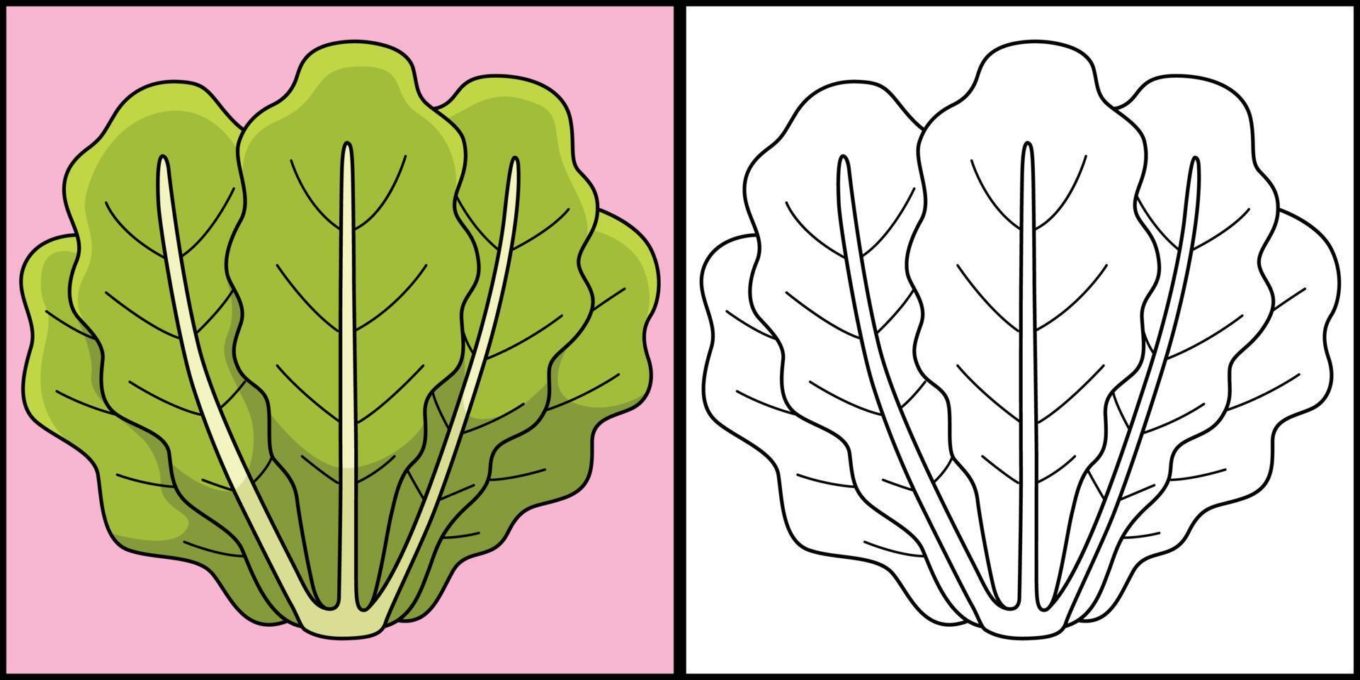 Romaine Lettuce Vegetable Coloring Illustration vector